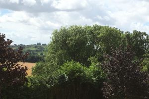 View to Arbury Hill